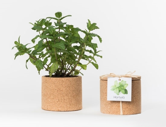 Spin aankomst Schuur Kurk pot met plant in 16 verschillende soorten kruiden - Yipp & Co